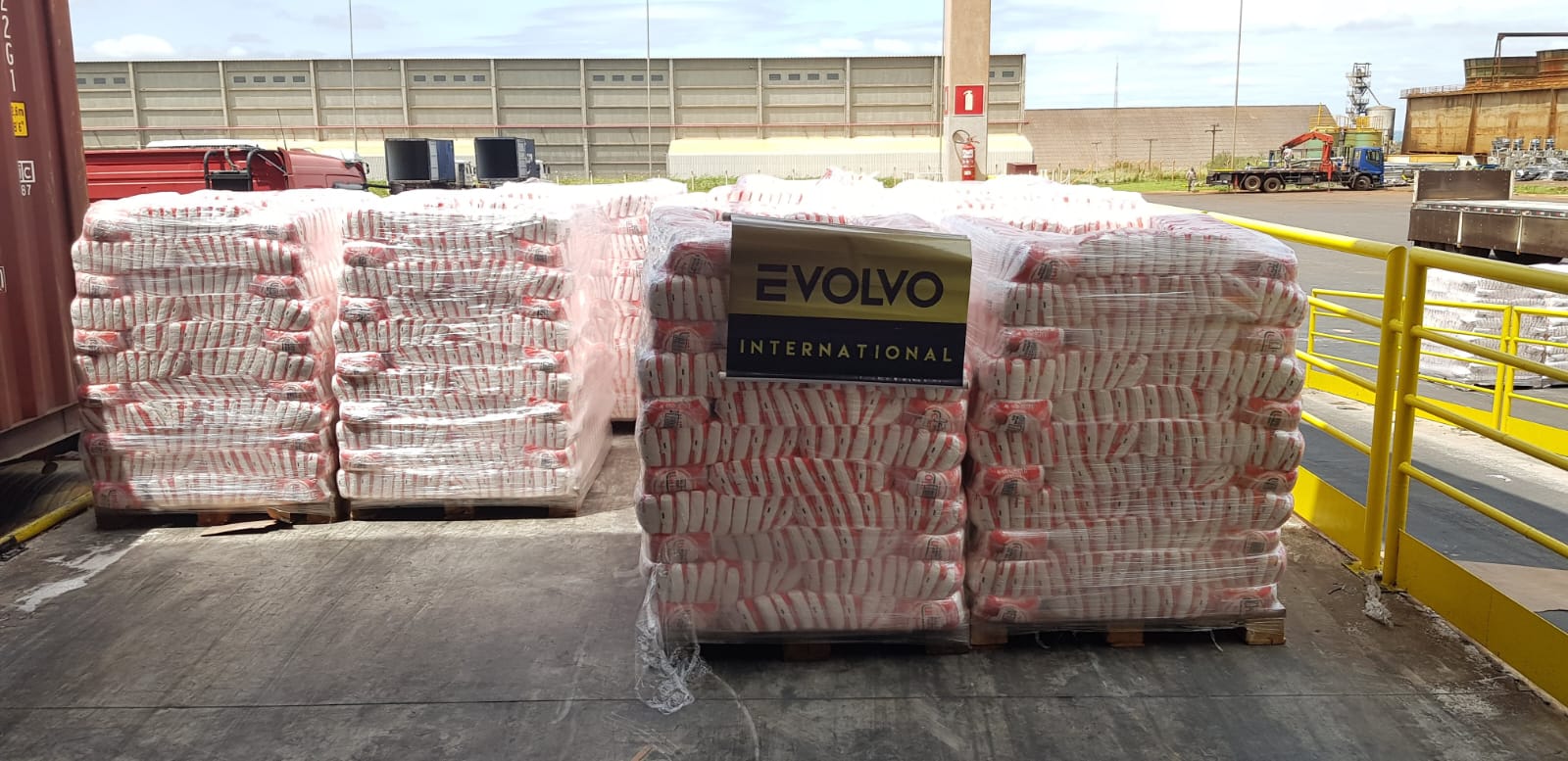 White Crystal Sugar Export in Container. from Brazil